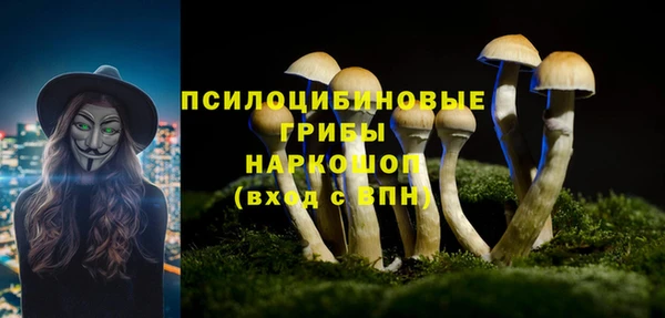 МДПВ Алексеевка