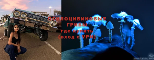 прущий лед Алексин