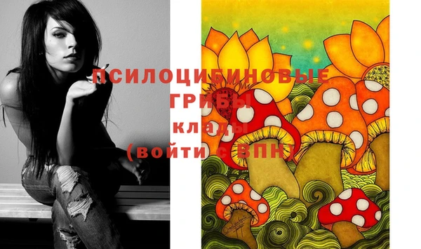 прущий лед Алексин