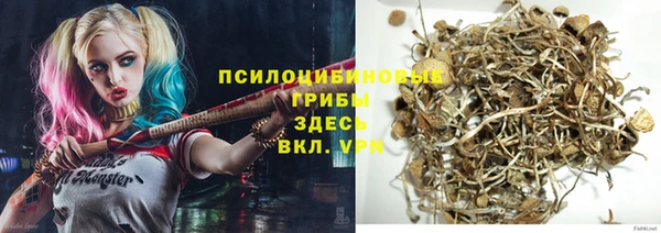 прущий лед Алексин