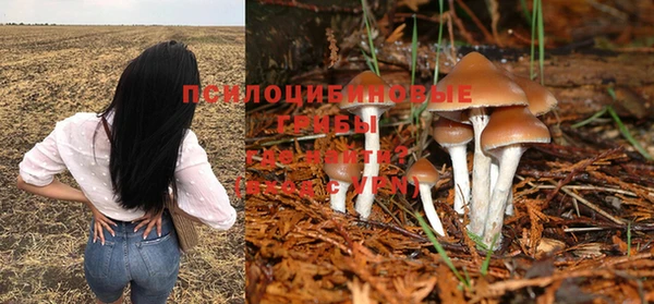 прущий лед Алексин